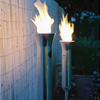 Olympic Torch