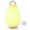 Luau Outdoor Lamp