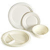 Sugarcane Disposable Plates & Bowls