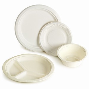 Sugarcane Disposable Plates & Bowls