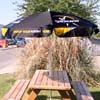 Strongbow Umbrella