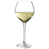 Grands Cepages White Wine Glasses