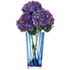 LSA Cirro Vase Cobalt 30cm