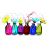Hanging Mini Coloured Bottles