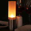 Stainless Steel & Frosted Glass Table Lamp