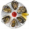 Oyster Plate 6 Hole 25.5cm