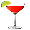 Basic Bar Contemporary Martini Glasses 7.9oz / 226ml