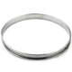 Tinned Steel Flan Ring 12inch