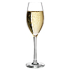 Grands Cepages Champagne Flutes 8.4oz / 240ml
