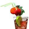 Paper Fruit Straws