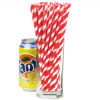 Red & White Striped Paper Straws 8inch