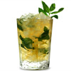 Soho Julep Tumblers 12oz / 340ml