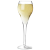 Brio Champagne Flutes