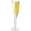 Elite Premium Polycarbonate Champagne Flutes