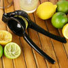 Mexican Elbow Citrus Juicer