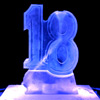 Birthday Vodka Luge